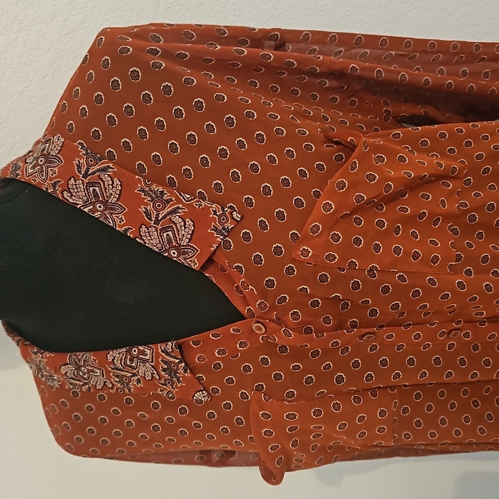 Free People Sheer Button Down - Picture 4 of 8